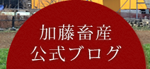 加藤畜産公式ブログ