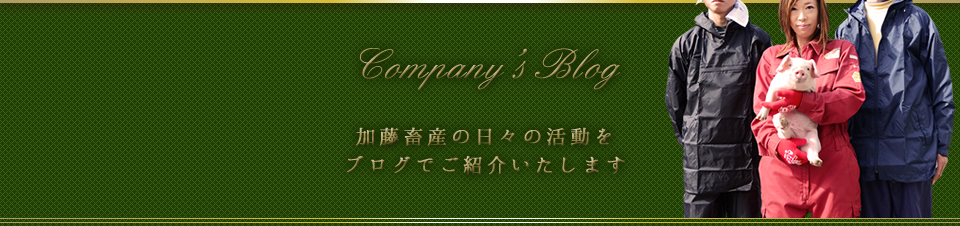 加藤畜産の日々の活動をブログでご紹介いたします