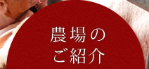 農場のご紹介