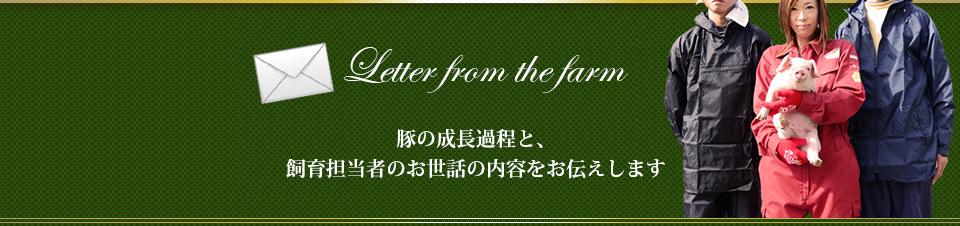 加藤ポークの農場からのお便り