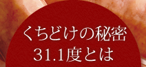 くちどけの秘密『31.1℃』とは