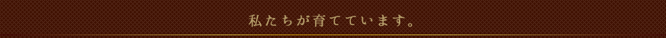 私たちが育てています。