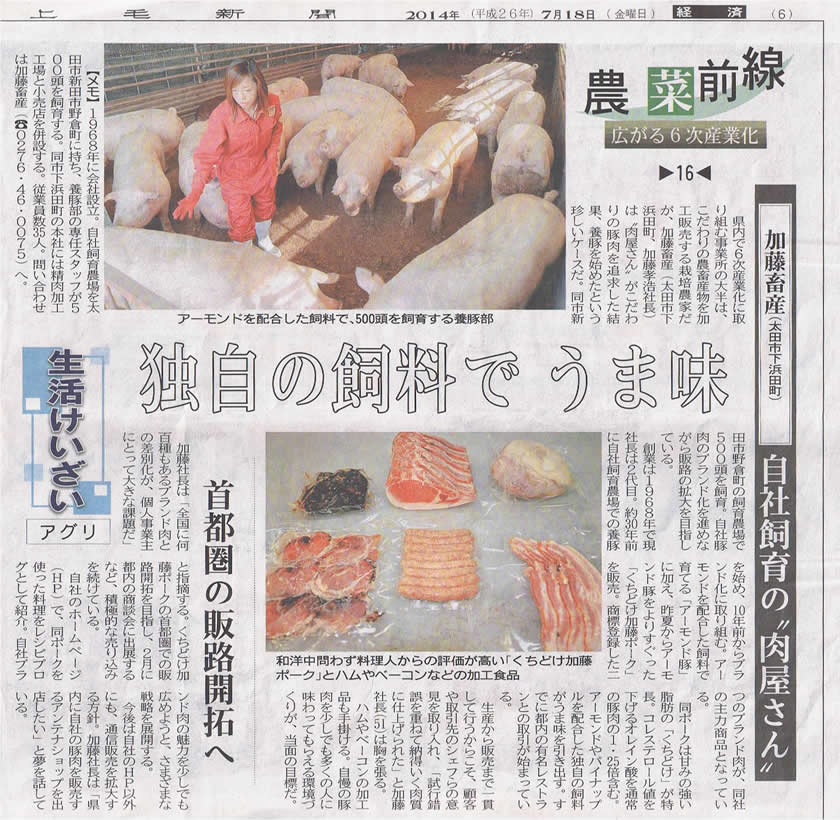 newspaper_20140718_s